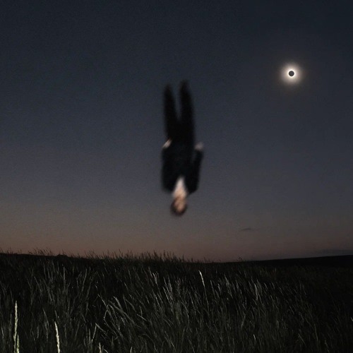 SALUKI — EUPHORIA