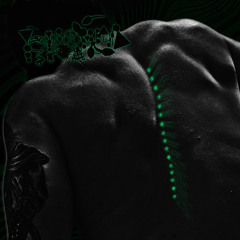 密集したカエル