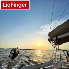 Liqfinger