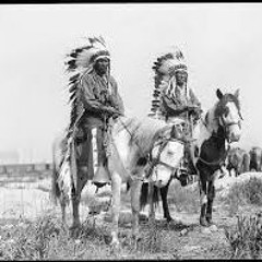 Cherokee - THC ent. (TONE & GA Kush)