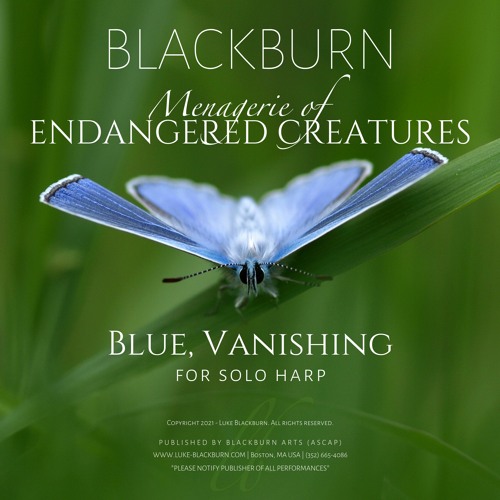 Menagerie of Endangered Creatures - Blue, Vanishing