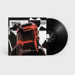 TL PREMIERE : PAЯAND - Missed Connection [Soil Records]