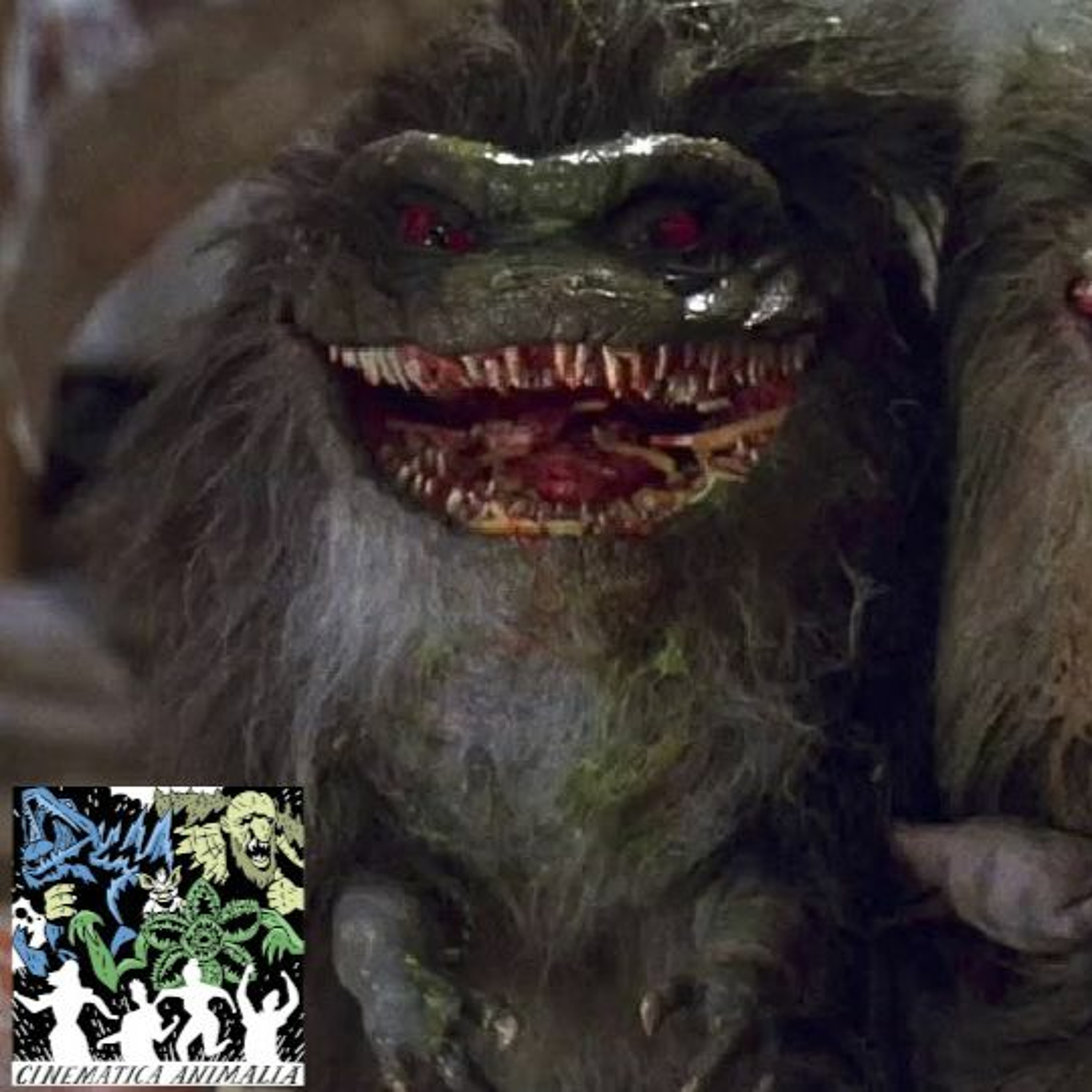 Cinematica Animalia