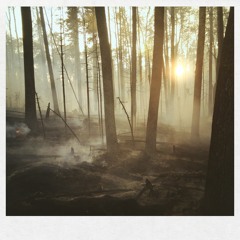 embers (instrumental)