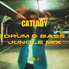 Summer Drum & Bass / Jungle Mix - Vol. 1