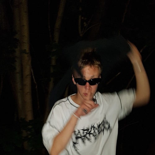 dzejdzej - wifi