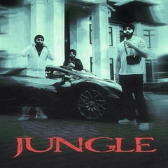 Jungle - Inderpal Moga Ft. BK