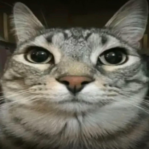 Top 5 Tracks of The Week 08/12/25