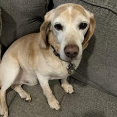 You Coulda Had Me (Prod.torshavn)