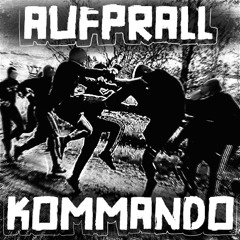 Aufprallkommando