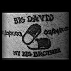 My Big Brother (Official Audio)