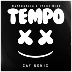 Tempo (Zay Remix)