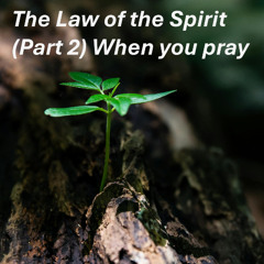 The Law of the Spirit 2