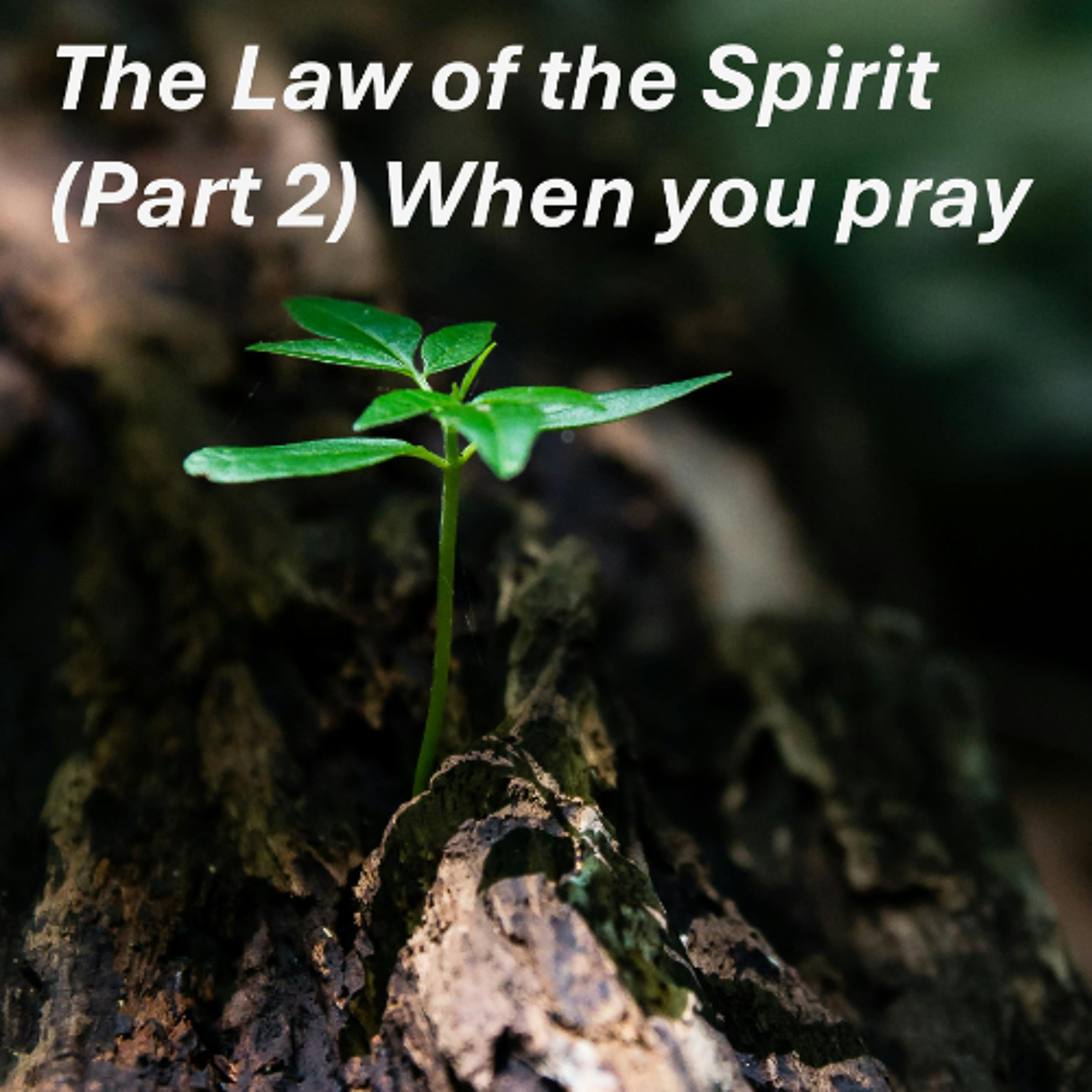 The Law of the Spirit 2 episode artwork