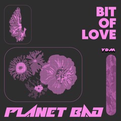 Bit Of Love