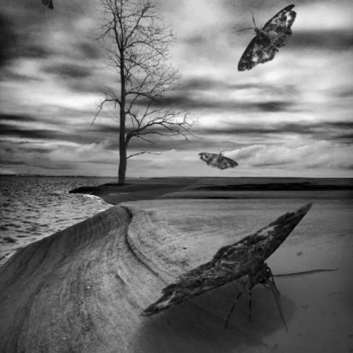 ننتصر tiktok song (FREE DOWNLOAD)