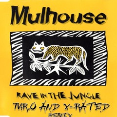 Rave In The Jungle - (Mr.O & X - Rated)