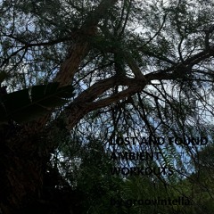 lost & found on mobile by A.L.F AMB1ENTL1FEFORM