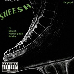Sheesh (Ft. Meechy Hall, Goblin)