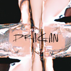 RACOON (DRAGAN.original)