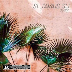 ENZX-SI J'AVAIS SU