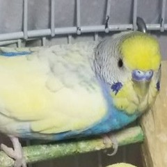 𖥂 ~ ALL I WANTED WAS- fame.