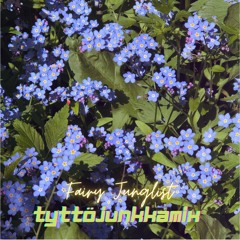 FAIRY JUNGLIST / TYTTÖJUNKKAMIX 003 / IPALIPA B2B ATI