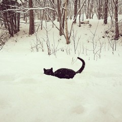 reason (lesser spirits)