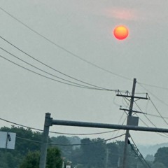 in tact - prod. everestdidthis