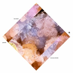 Necessary Interlude (in life) EP [Goldmin Music]