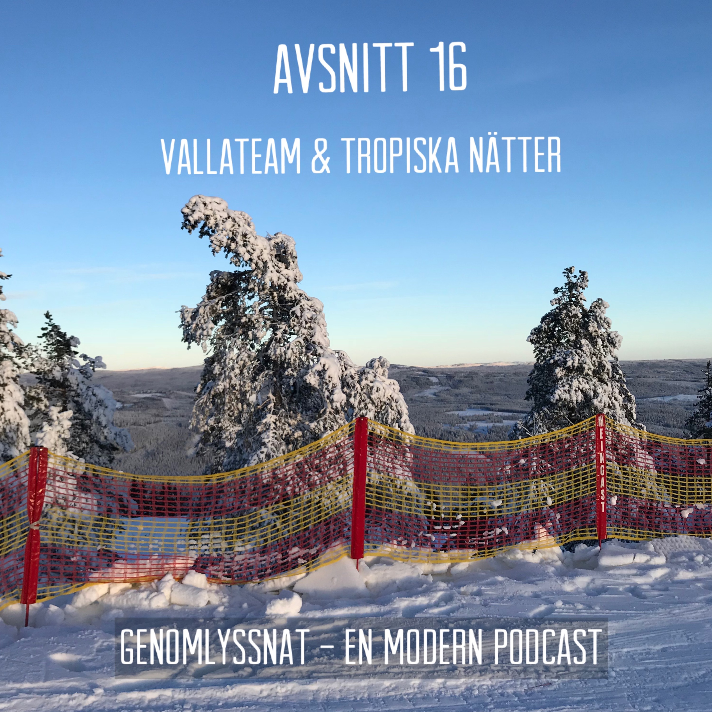 Avsnitt 16: Vallateam & Tropiska nätter episode artwork