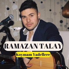 Stream Limon Çiçeğim / Vay Balım by Ramazan Talay | Listen online for free  on SoundCloud