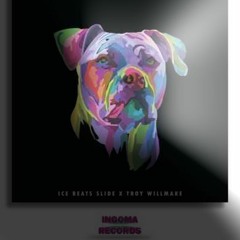 Ice Beats Slide, Troy Willmake, Tyler ICU - My Friend (ljiggy Slowed + Reverb)