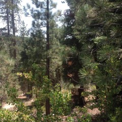 "Elephant Stomp"two step beat 2 - version 3