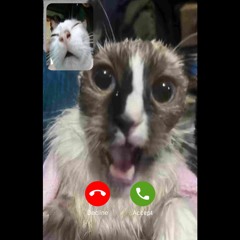 wake up☣️(jumpstyl℮)