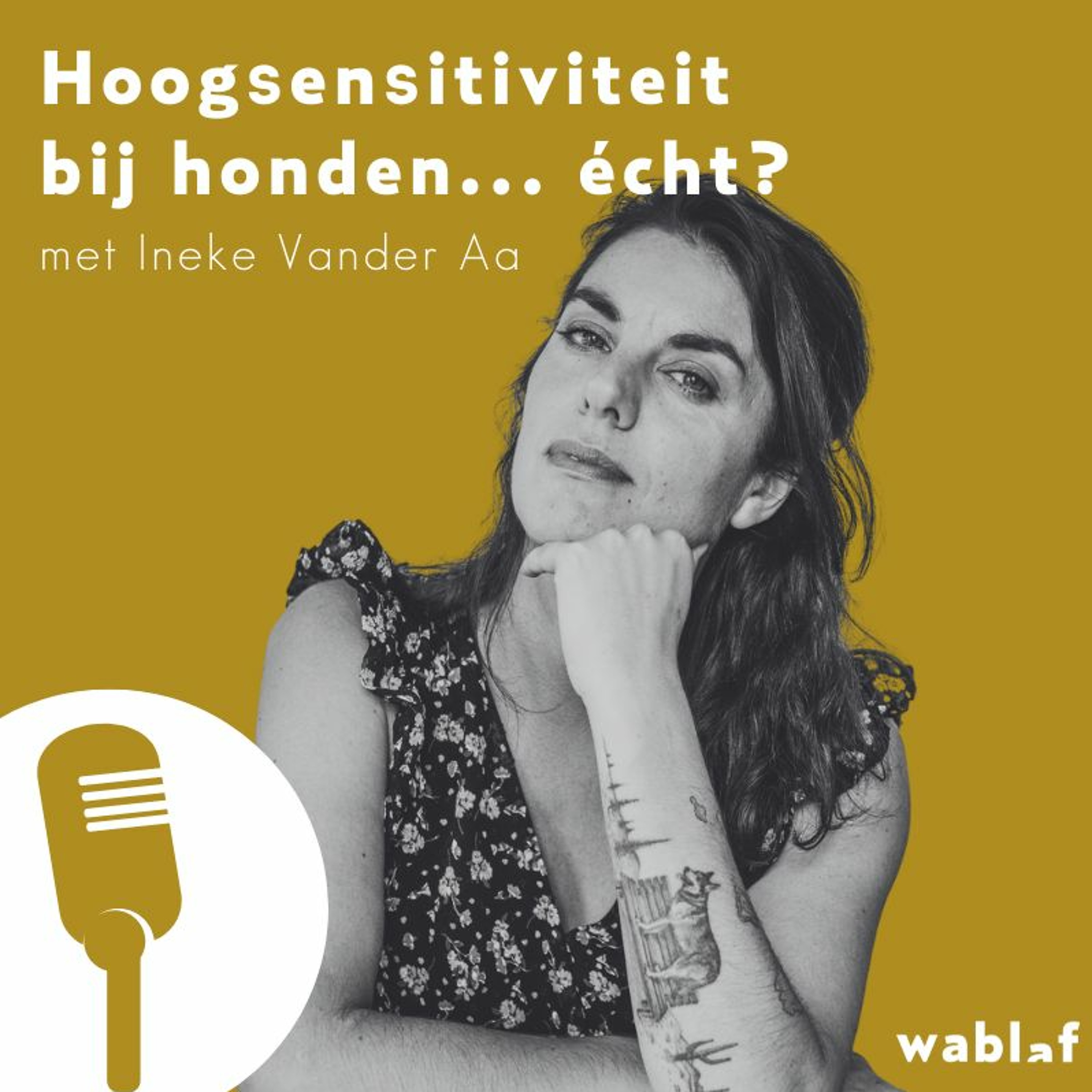 Bewuste Hondenmoeders