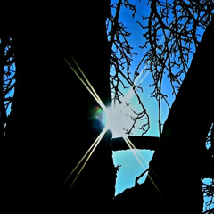 Spinehead - Going On