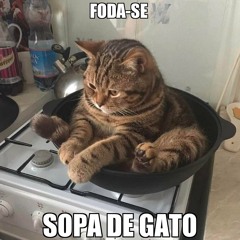 Soup Made Out of a Cat