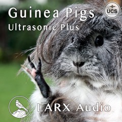 Guinea Pigs Ultrasonic Plus demo