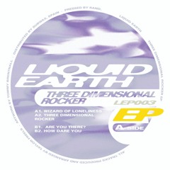 Premiere : Liquid Earth - Wizard Of Loneliness (LEP003)
