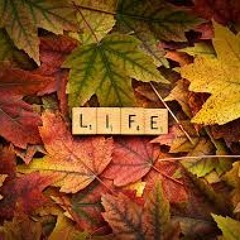 Autumn Of Life