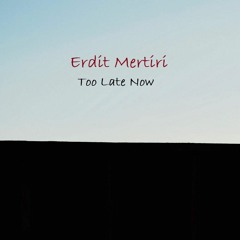 Erdit Mertiri - Too Late Now (Original Mix)