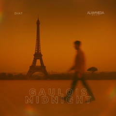ZHAT - Gaulois Midnight