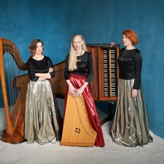 Liis Viira - Chaconne (excerpt)