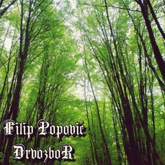 Filip Popović - Sveotac