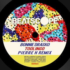 Bonnie Drasko - Toolingo (Pierre H Remix)