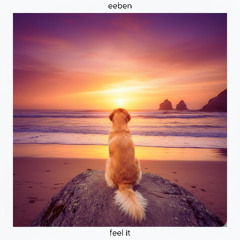 feel it