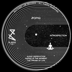 Popiq - The Dream Of Life (Original Mix)