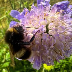 Turn It (Radio Edit) [Free Download]