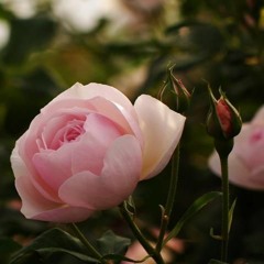 بلغوها وبحق الوفاء عيدو عليها --- ما عرفت من شوقتي في هواها